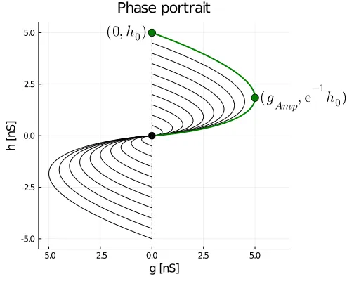 Orbit diagramme for Alpha synapses